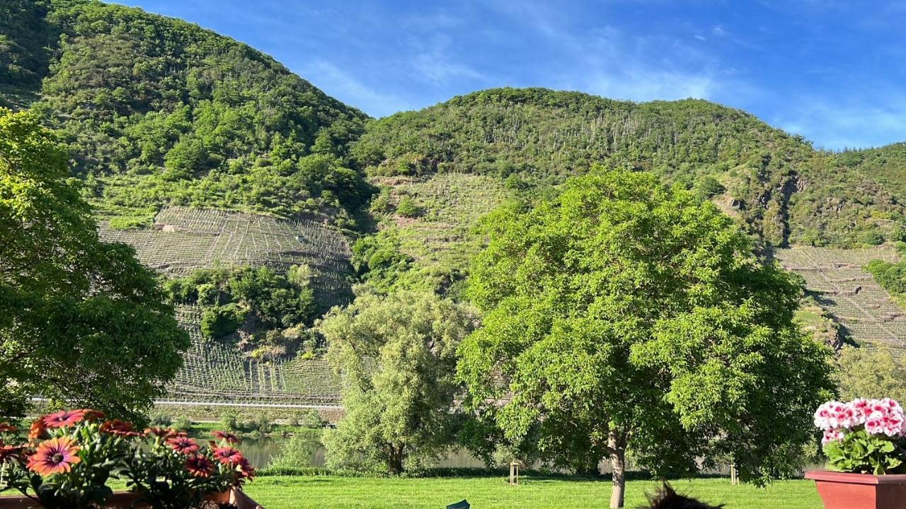 Hotel Zur Winzergenossenschaft 에른스트 외부 사진